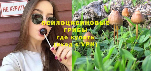 тгк Гусиноозёрск