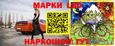 spice Обнинск