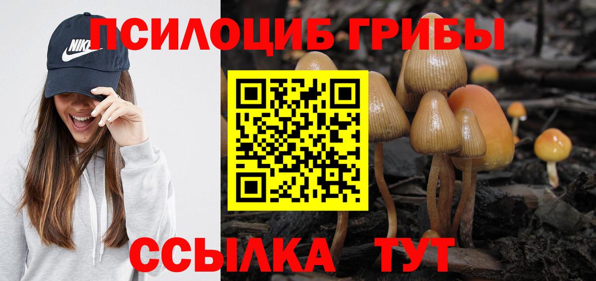 Галлюциногенные грибы мицелий  Вход с VPN  Похвистнево 