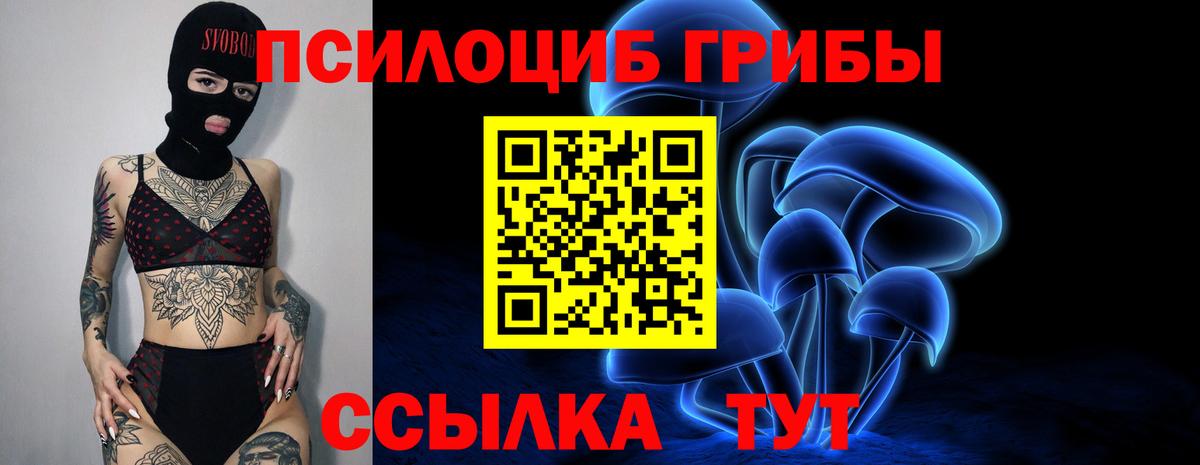 Галлюциногенные грибы Psilocybe Похвистнево